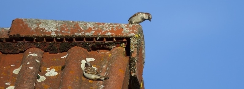 Toetsing Wet Natuurbescherming