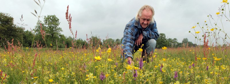 Natuurontwikkeling & Natuurbeheer