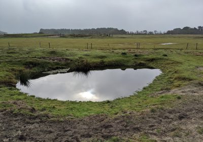 Realisatie- en investeringsplannen Kwaliteitsimpuls natuur en landschap (SKNL)