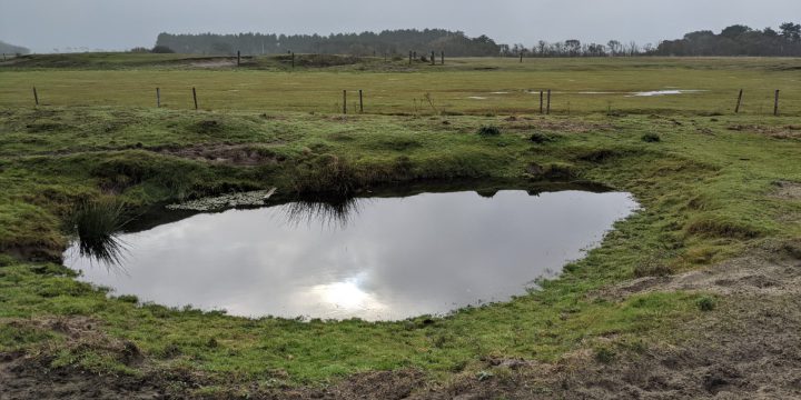 Realisatie- en investeringsplannen Kwaliteitsimpuls natuur en landschap (SKNL)